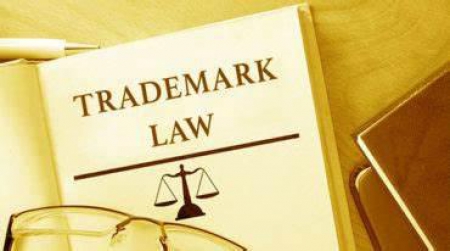 Trademark Litigation